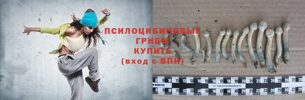 дмт Баксан