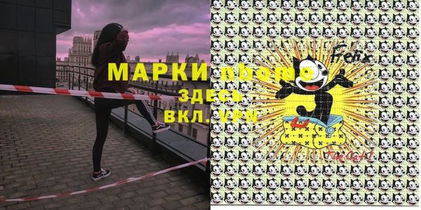 spice Няндома