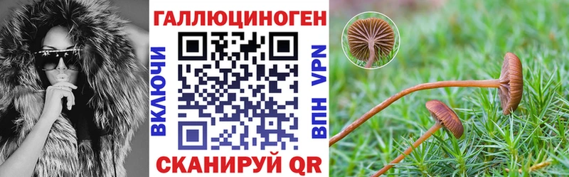 цены   Губаха  hydra сайт  shop официальный сайт  Псилоцибиновые грибы Magic Shrooms 